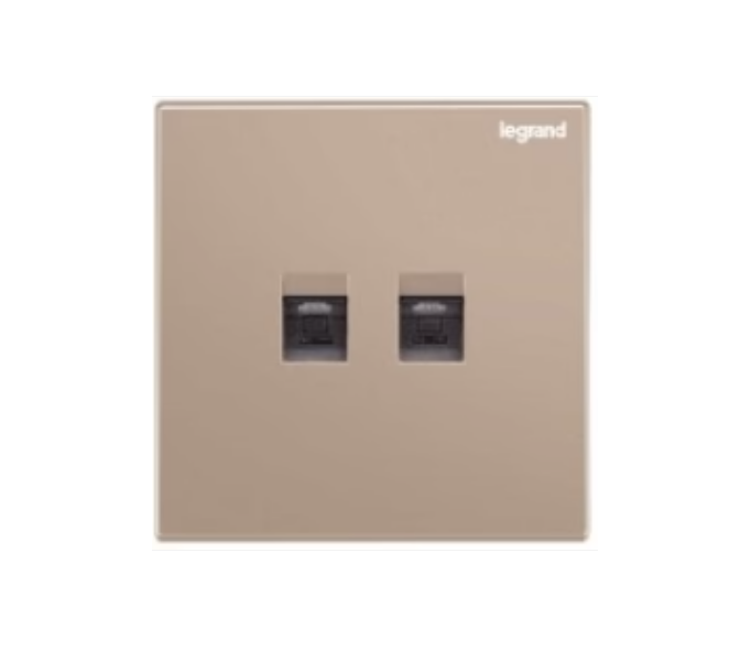 Legrand Galion逸景 兩位電腦面板(第5類)