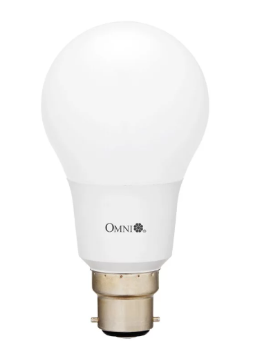 12W LED A65 燈膽 B22 釘頭B22 (暖黃光/冷白光)