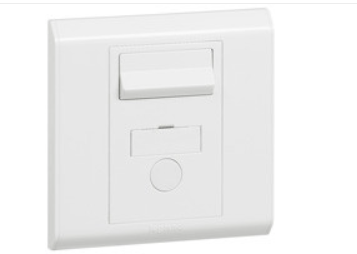 Legrand 羅格朗 13A有制菲士蘇