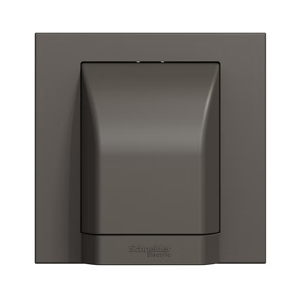 Schneider 奐然AvatarOn C  45A龜背 接線蘇