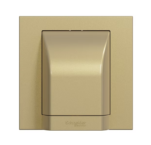 Schneider 奐然AvatarOn C  45A龜背 接線蘇