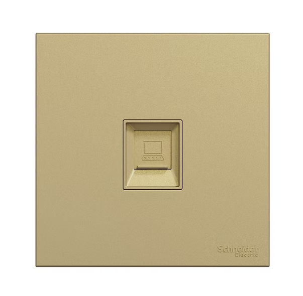 Schneider 奐然AvatarOn C  單位 CAT5E數據插座