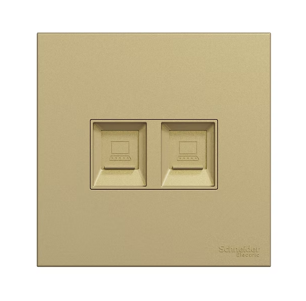 Schneider 奐然AvatarOn C  孖位 CAT5E數據插座