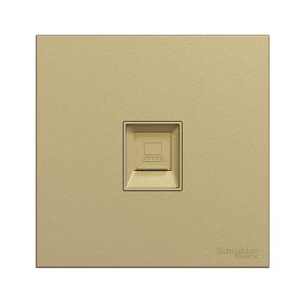 Schneider 奐然AvatarOn C  單位 CAT6數據插座