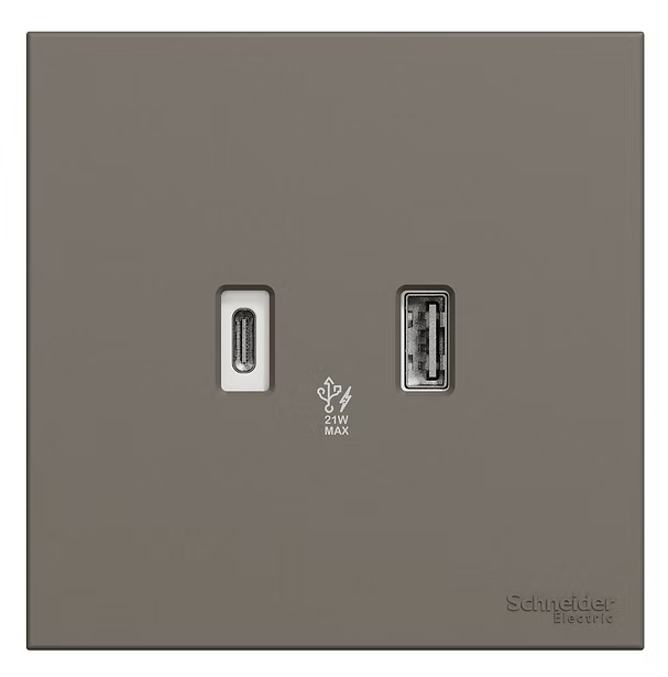 Schneider 奐然AvatarOn C 兩位21W Type A+C USB充電 插座