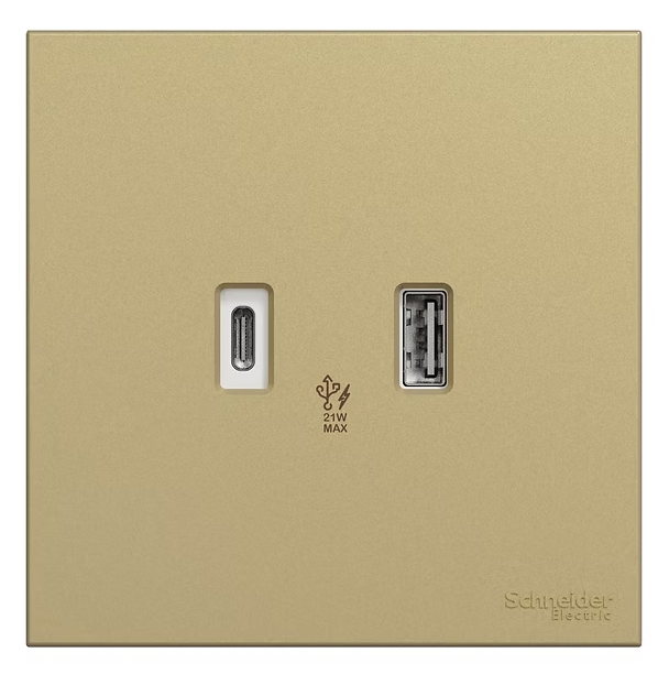 Schneider 奐然AvatarOn C 兩位21W Type A+C USB充電 插座