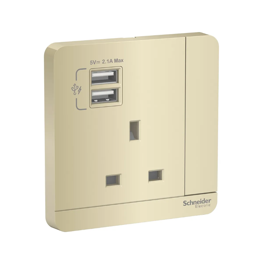 Schneider AvatarOn奐尚 單位13A蘇面帶開關連雙USB