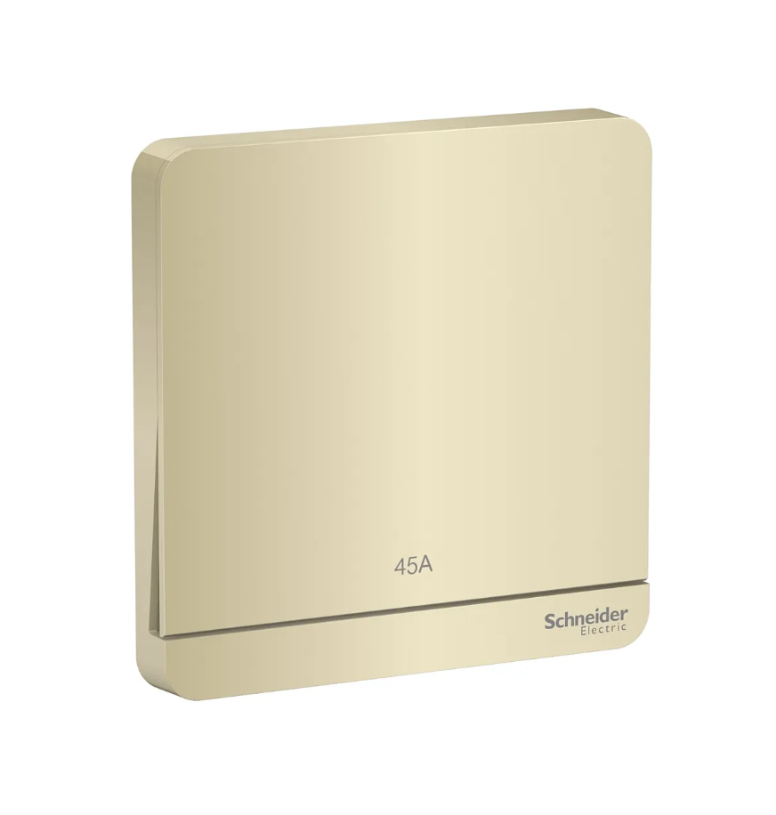 Schneider AvatarOn奐尚 單位45A雙極開關帶LED燈