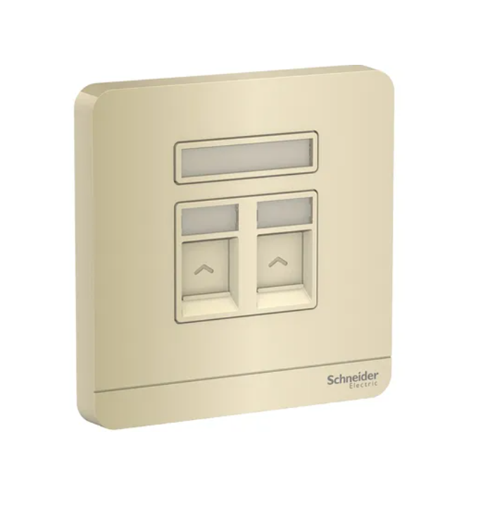 Schneider AvatarOn奐尚 兩位電腦面板(第6類)