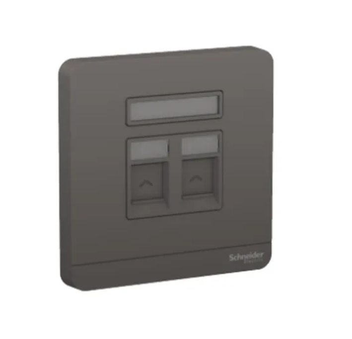 Schneider AvatarOn奐尚 兩位電腦面板(第6類)