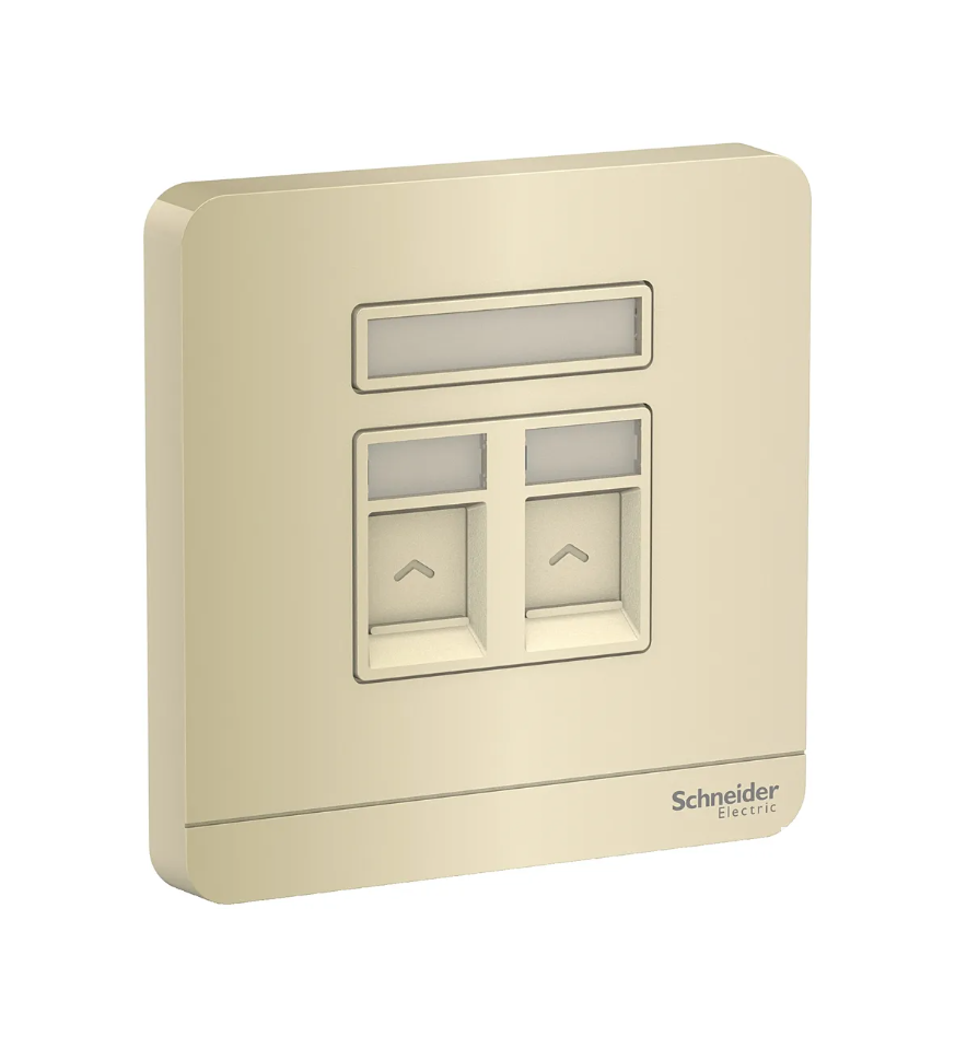 Schneider AvatarOn奐尚 兩位電話/電腦面板(第3及5類)