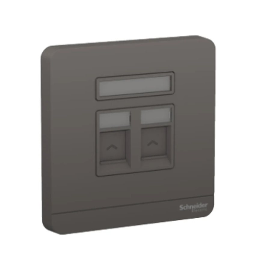 Schneider AvatarOn奐尚 兩位電話/電腦面板(第3及5類)